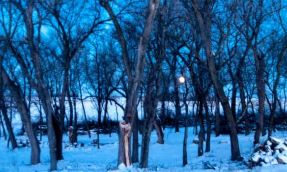 Moon set from kitchen window.