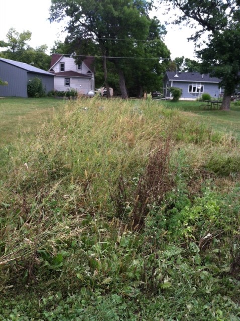 Not my best garden ever.