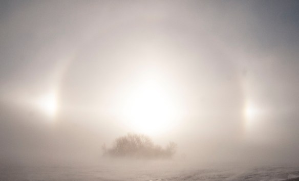 Wind-blown snow creates a halo effect on a prairie wetland.