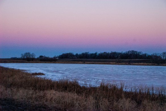 A nearby wetland at dawn.