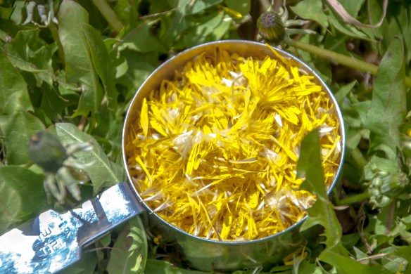 Just a half cup is all you need ... without the green "crowns."