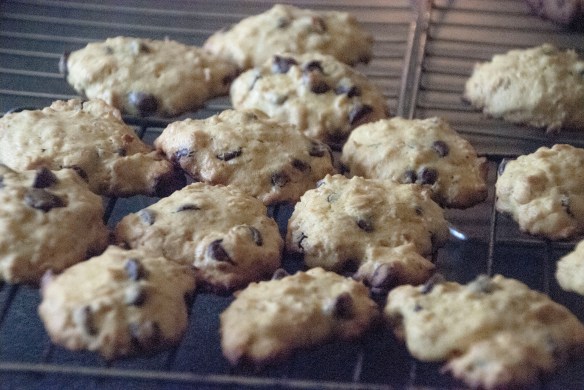 All baked and ready to eat ... and they were a big hit, even to Martin!