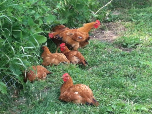 Granted a stay: a few of the remaining Red Rangers