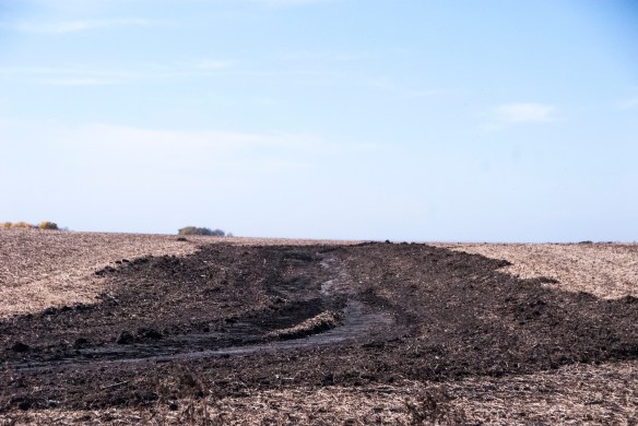 Rather than grass waterways, tillage equipment is run through fields to enhance a quicker drainage. Too shallow to qualify as an "official" ditch, these ditches won't qualify for buffer regulations.