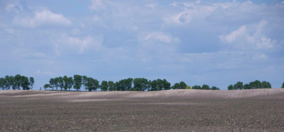 If one looks around the farmed prairie, seeing "blow outs" are common and seem to grow proportionately larger each growing season.
