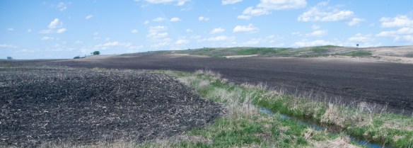 An example of "no buffer" farming.