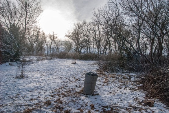 Another view of the area we're clearing for the new fruit trees, hardwoods and bird-friendly shrubs.