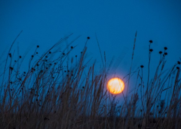 Though lacking the drama of the full moon image of a year ago, this one was much less expensive!