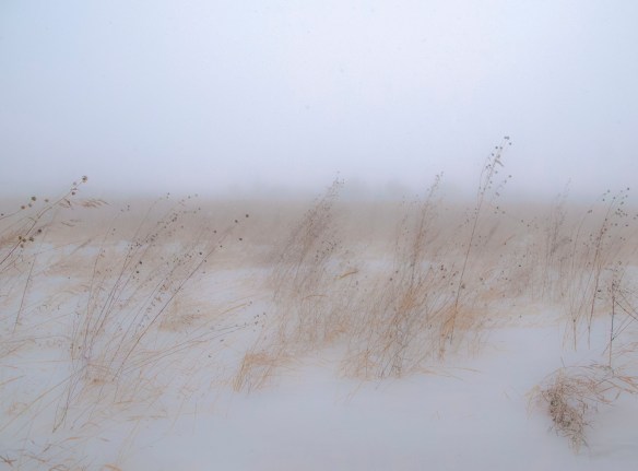 Winds whipped the prairie yesterday in gusts of up to 50 mph, but there was prairie grasses to protect the soils.