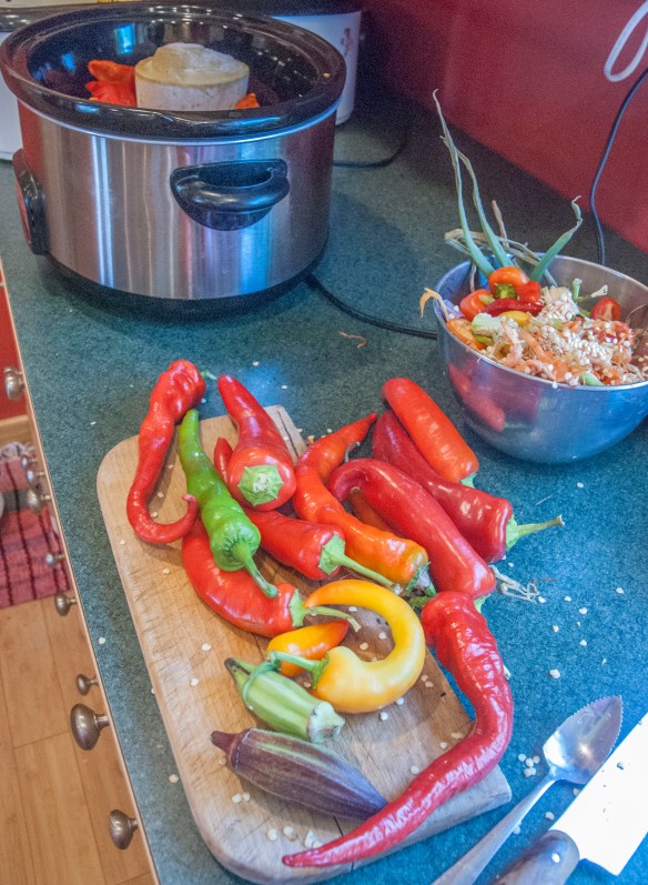 Prepping the peppers to start the gumbo. Note the okra?
