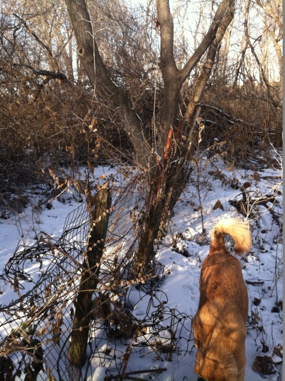 Doesn't this look like fun?