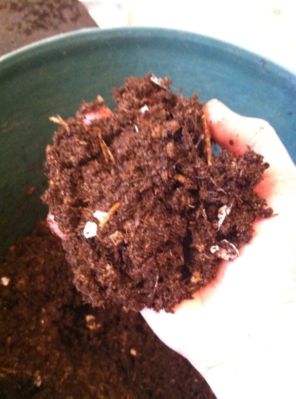 Peat moss goes in...