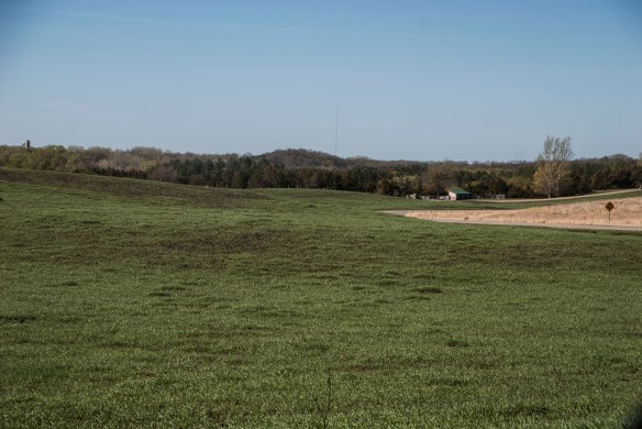 It didn't take long for this burn to green at Prairie Woods Environmental Learning Center in April.