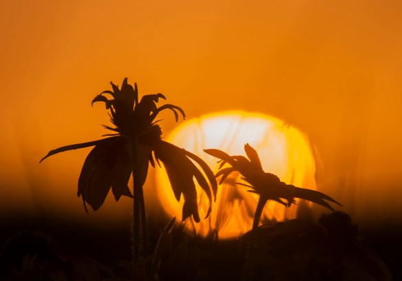 Among the culprits of our outlandish internet issues is the sun ... on the modem, spots out in the universe, and the cosmic rays producing Northern Lights!