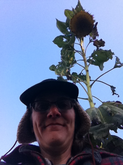 Gratuitous earflap cap-sunflower selfie