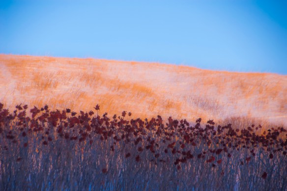 More in line with Rothko's use of color ...