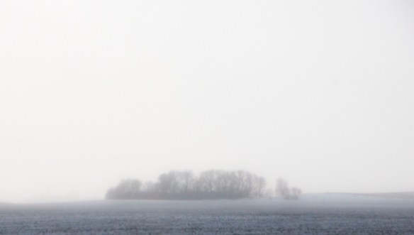 A winter blow ... what will become 