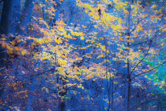 10.116.2018 dubuquetrip22a