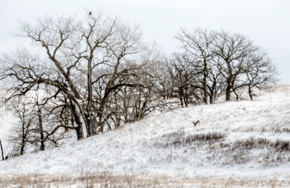 1.2.2019 outofthehosue3a