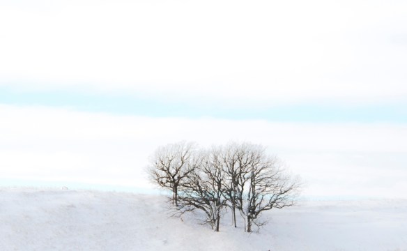 1.2.2019 outofthehosue5a