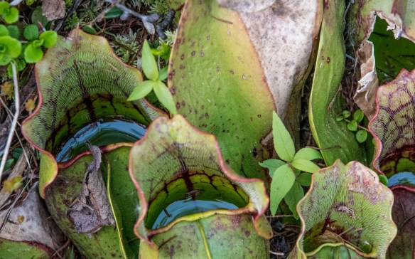 6.3.2019 tripwmary24