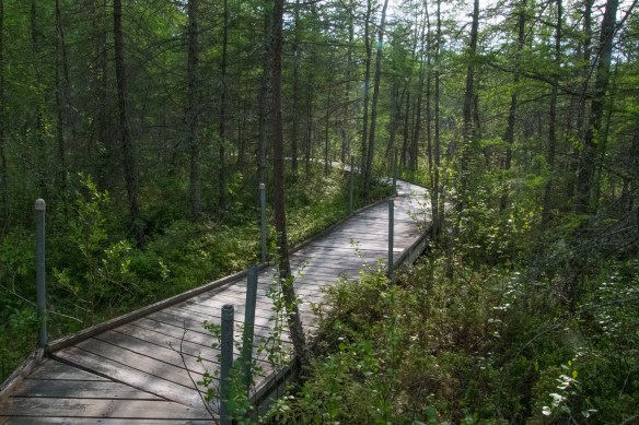 6.3.2019 tripwmary33