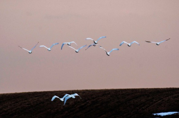 3.22.2020 sgsunset18 copy copy