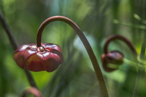 6.13.2020 daytrip48 copy