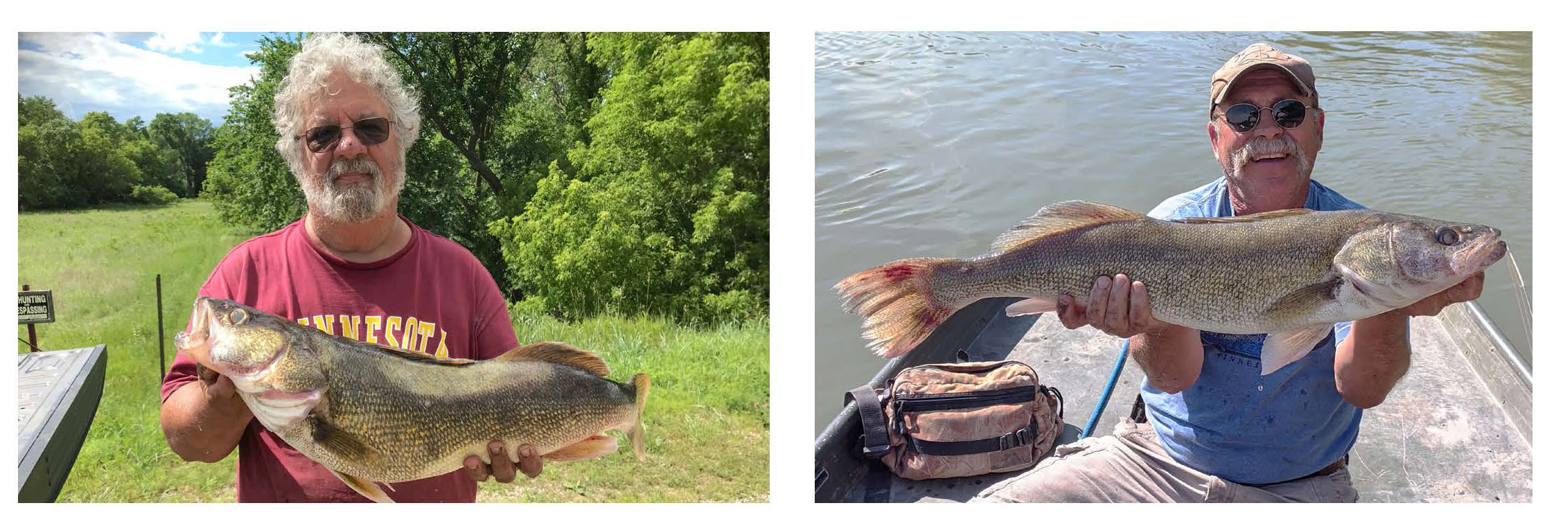 WALLEYES copy